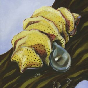 Pupa Print